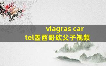 viagras cartel墨西哥砍父子视频